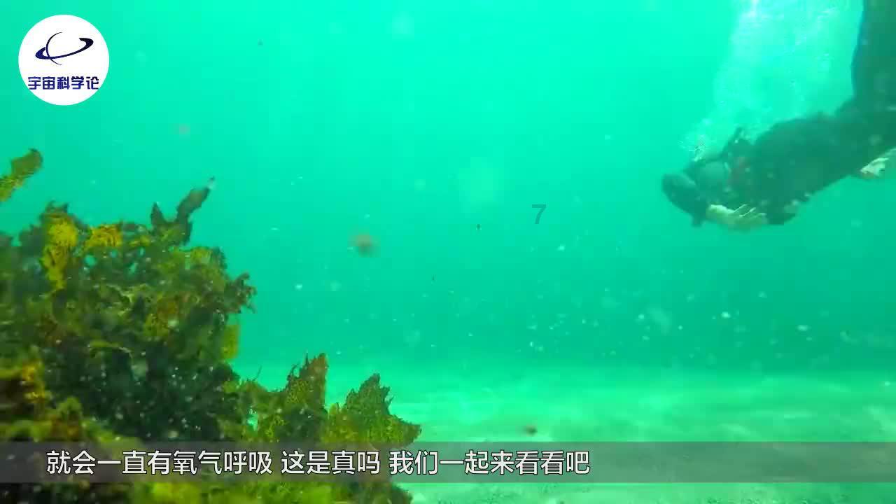 父母经常在家里吵架，对孩子会造成哪些影响？